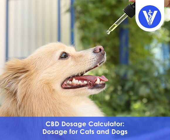 CBD Dosage Calculator