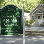best vets in boston