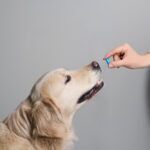 Vitamin D3 for Dogs