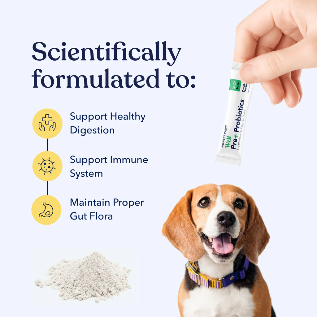 Honest Probiotics for Dogs and Cats Benefits TotalVet Honest Probiotics for Dogs and Cats Benefits