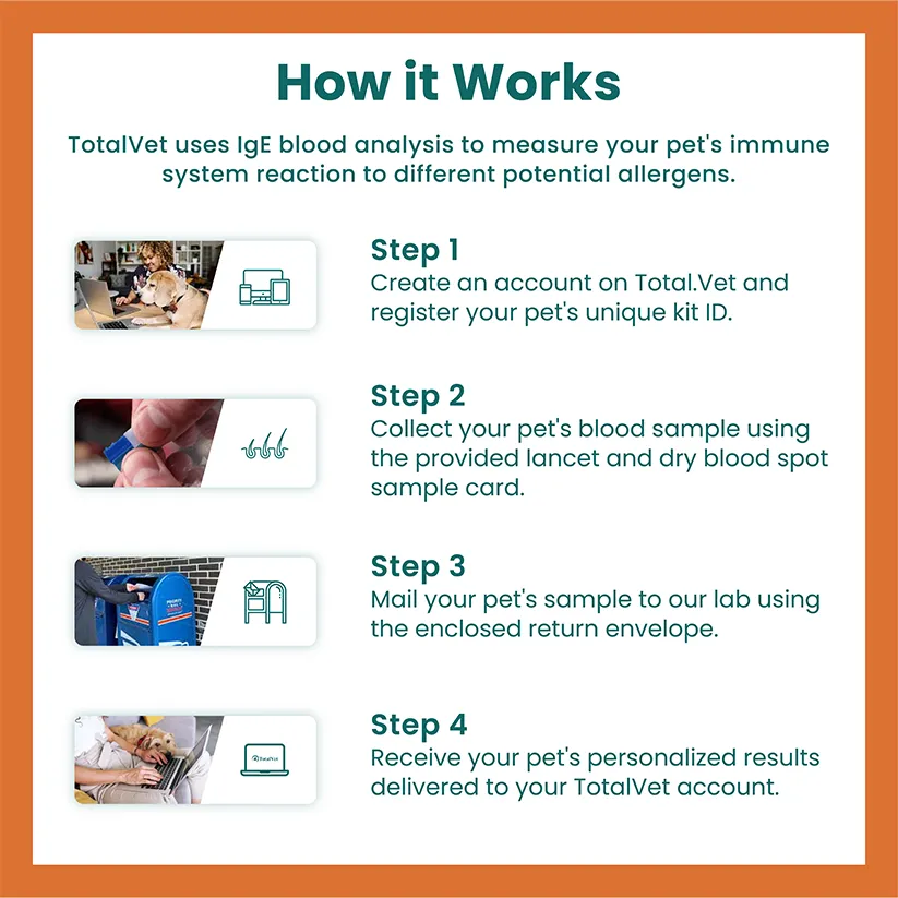How it works | TotalVet Infographic titled How it Works showing four steps to use TotalVet for pet allergy analysis