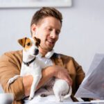 dna my dog breed id test kit