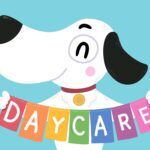 best dog daycares