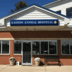 best vets in columbus