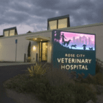 best vets in portland