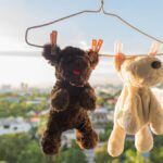 how to wash dog toys