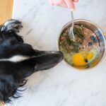 Chicken feet for dogs