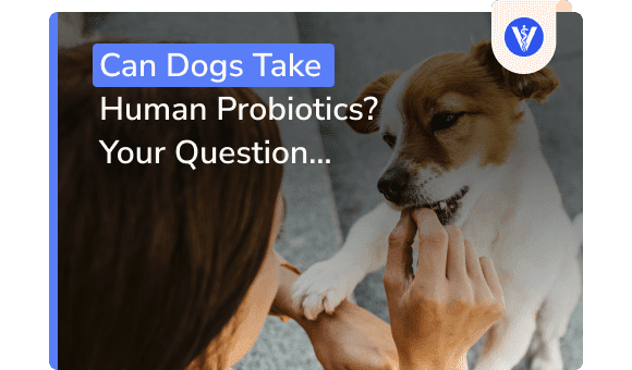are human probiotics for dogs safe