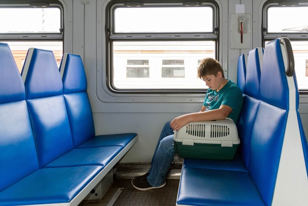 boy with cat carrier on train