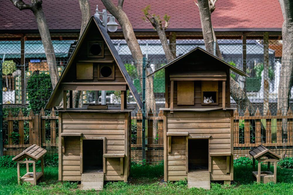 Outdoor cat house