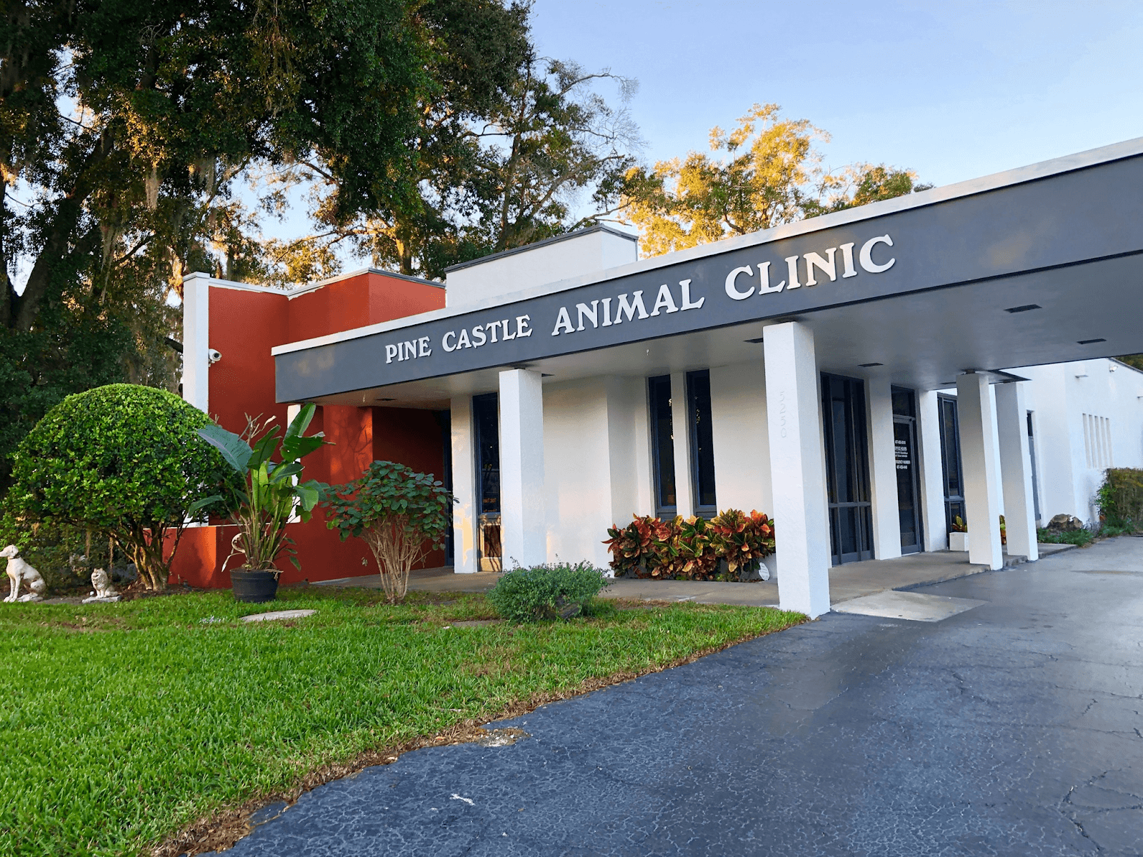 best vets in orlando