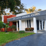 best vets in orlando