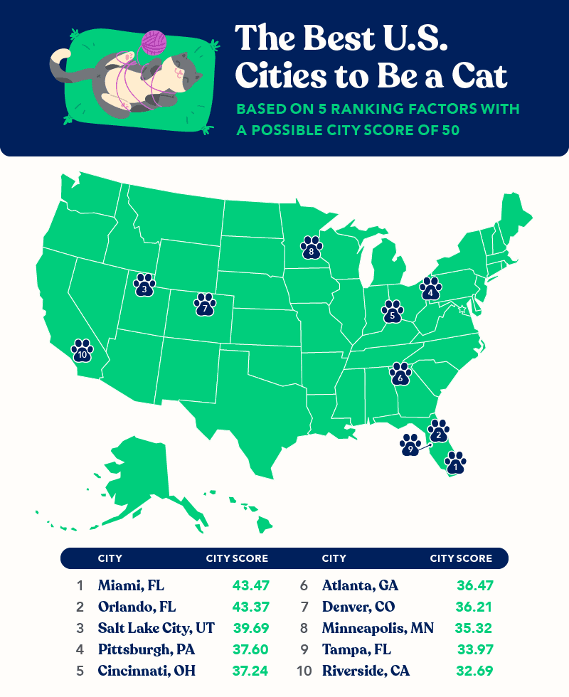 Map showing the best US cities to be a cat