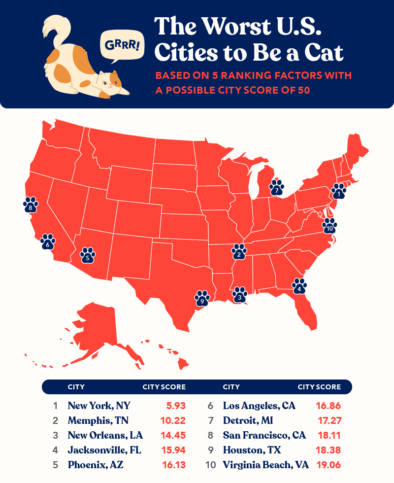 Graphic showing the worst US cities to be a cat